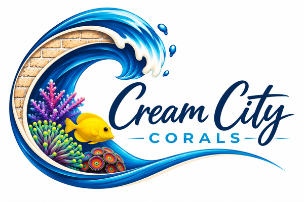 CreamCity Corals